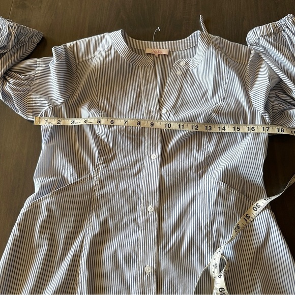 Parker Pinstripe Long Sleeve Button Down Toe Waist Dress Small - Picture 8 of 10